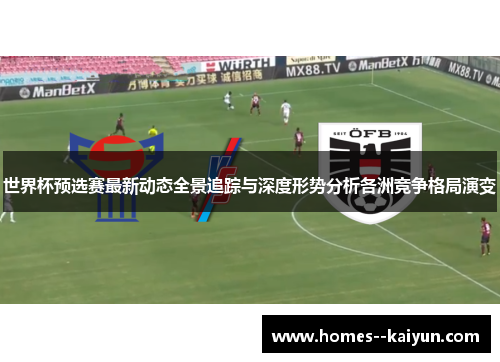 世界杯预选赛最新动态全景追踪与深度形势分析各洲竞争格局演变